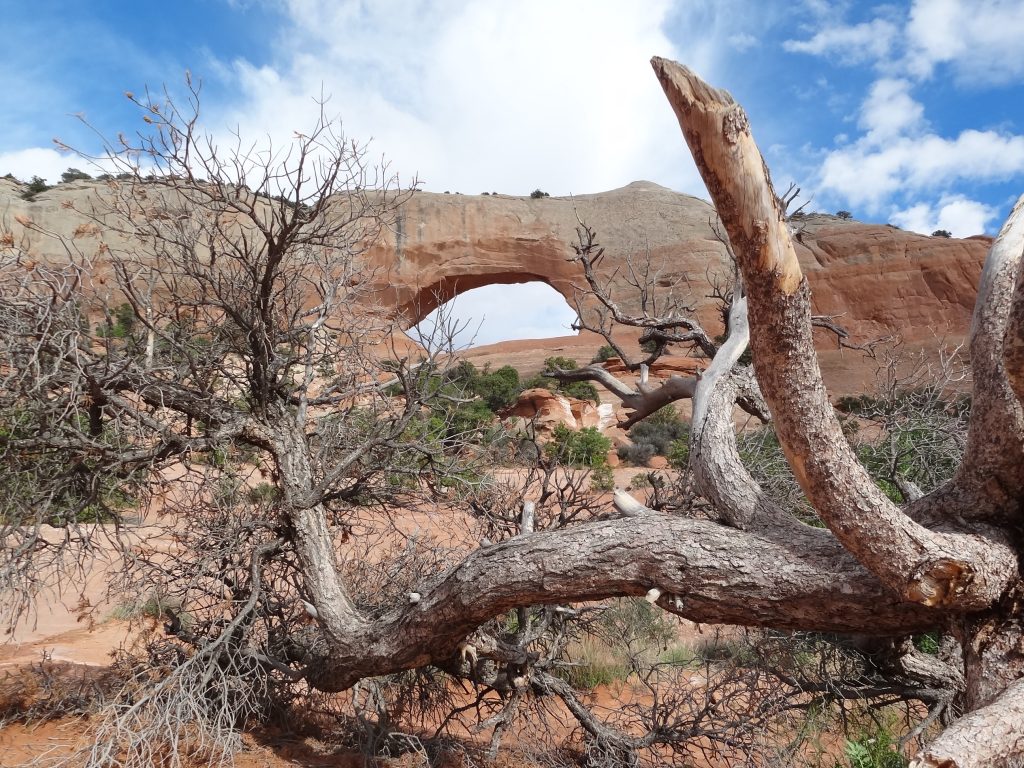 Les arches de Monument Valley...