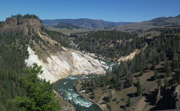 Grand Canyon x Yellowstone