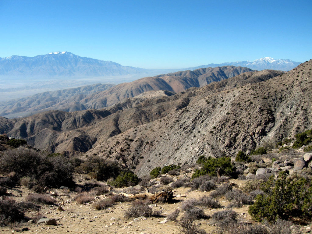 vue panoramique de joshua tree