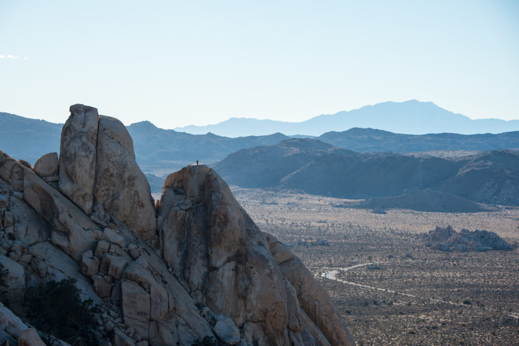 vue panoramique de joshua tree