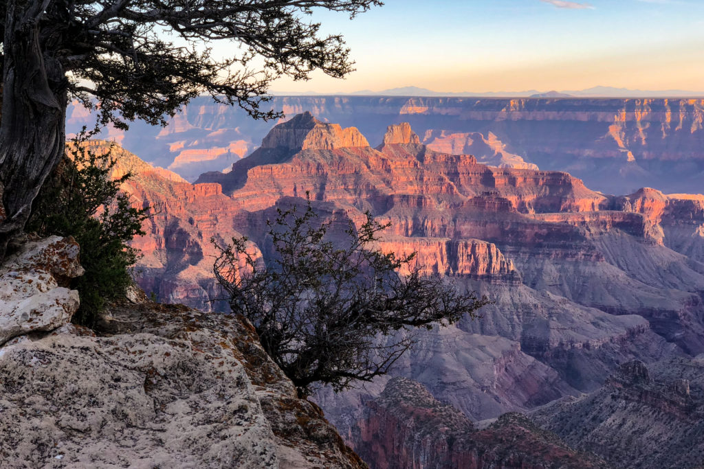 Grand Canyon National Park - Bright Angel Point