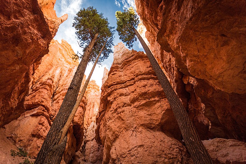 Scénic Drive : vue du canyon de l'intérieur