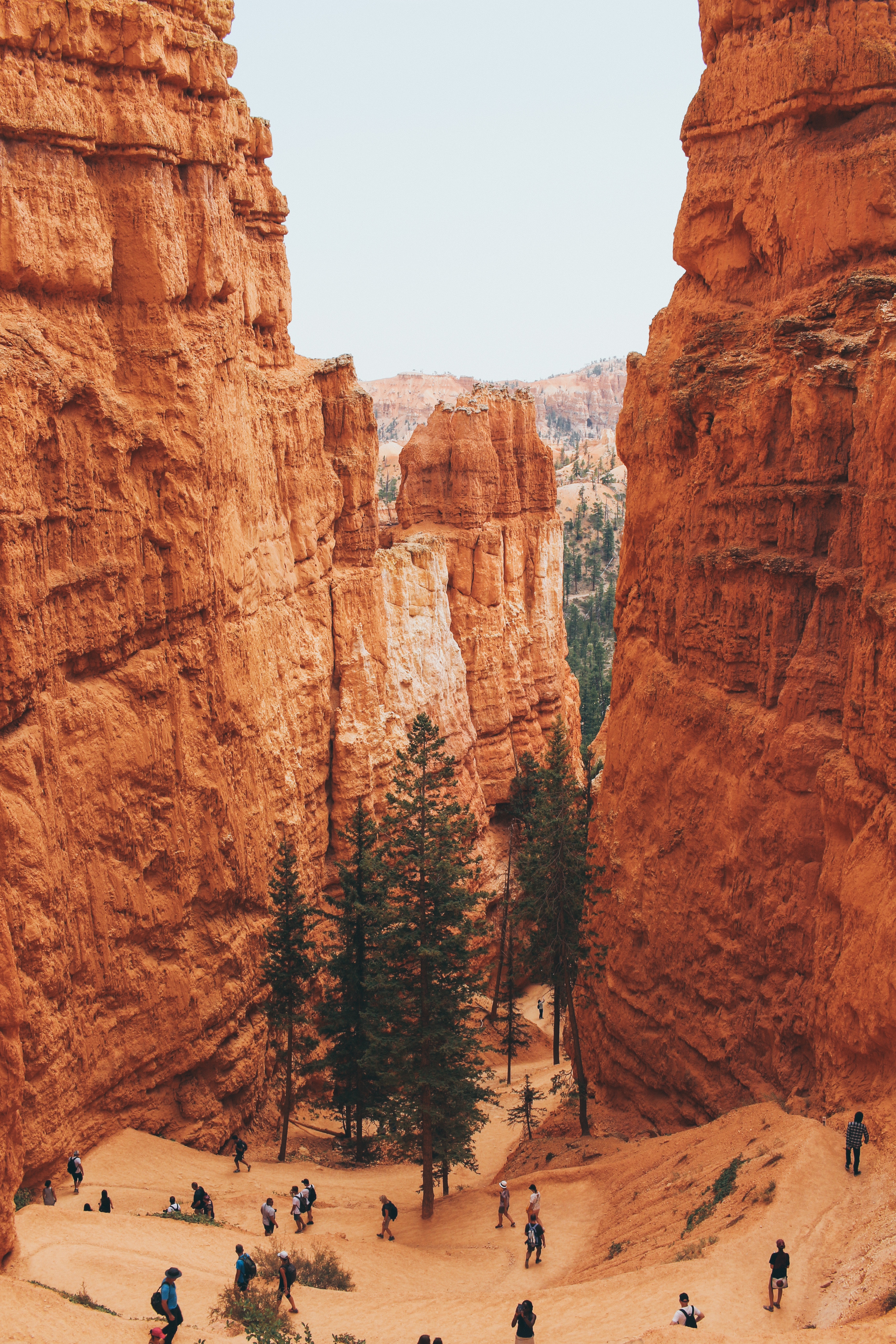 hoodoos géants bryce canyon