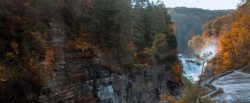 Letchworth Park