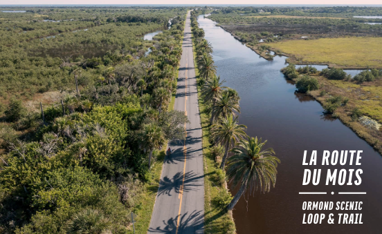 Anchorage Cabo San Luca